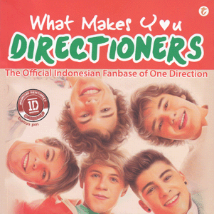 What Makes You Directioners